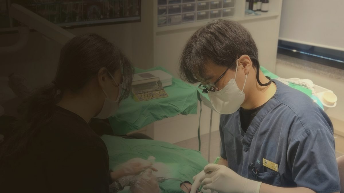 연세더튼튼치과 임플란트 진료실, 확대경을 사용하는 정밀 진료 환경