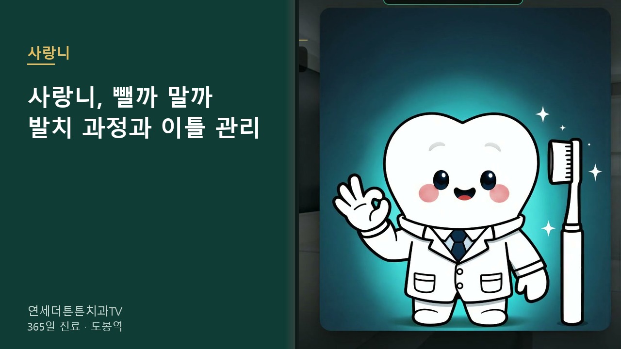 사랑니를 빼야 할 때와 두어도 될 때, 발치 과정과 회복 — 연세더튼튼치과 영상